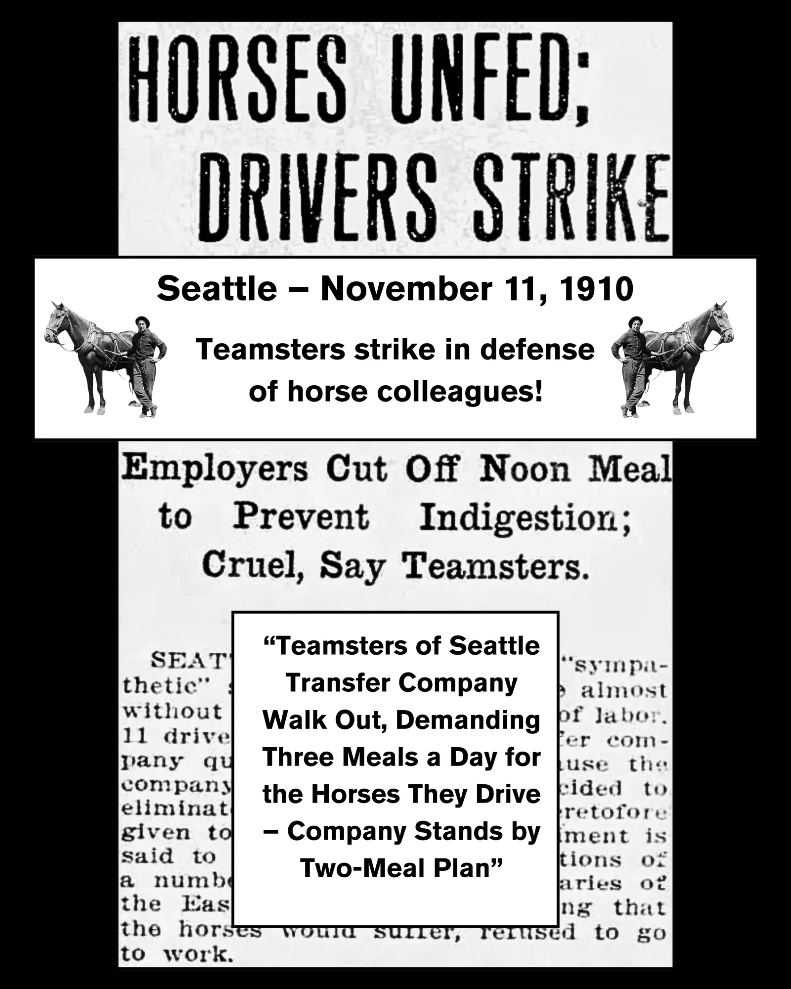 Cover of the Seattle Teamsters' Horse Strike zine