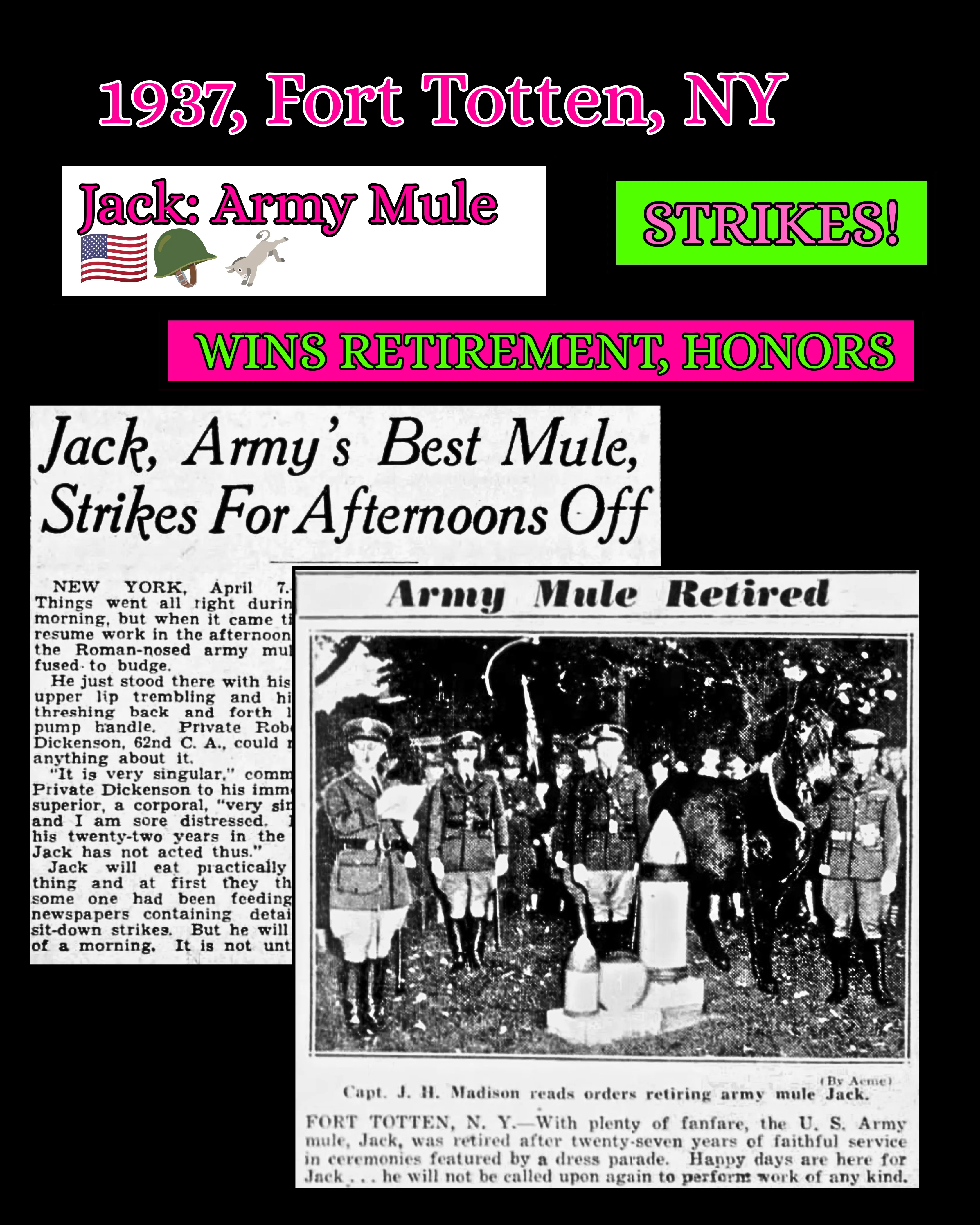 Cover of the Jack the Army Mule zine