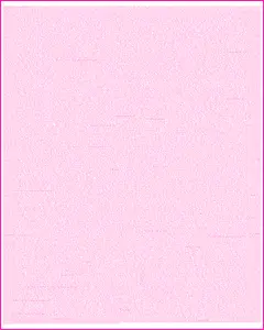 White / Pink color scheme