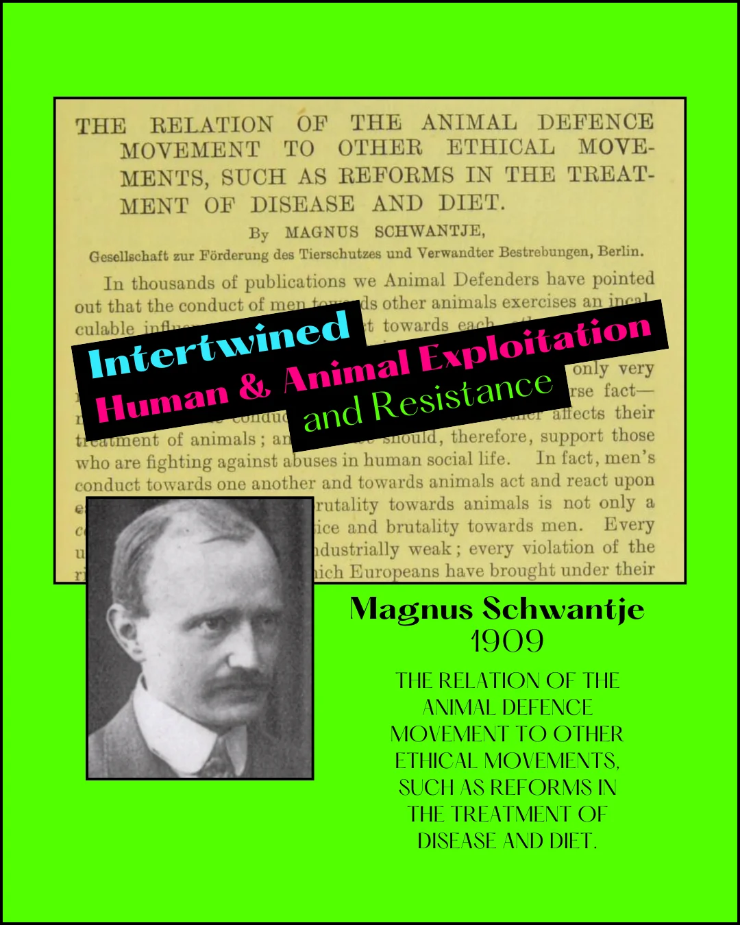 Cover panel of the Magnus Schwantje story