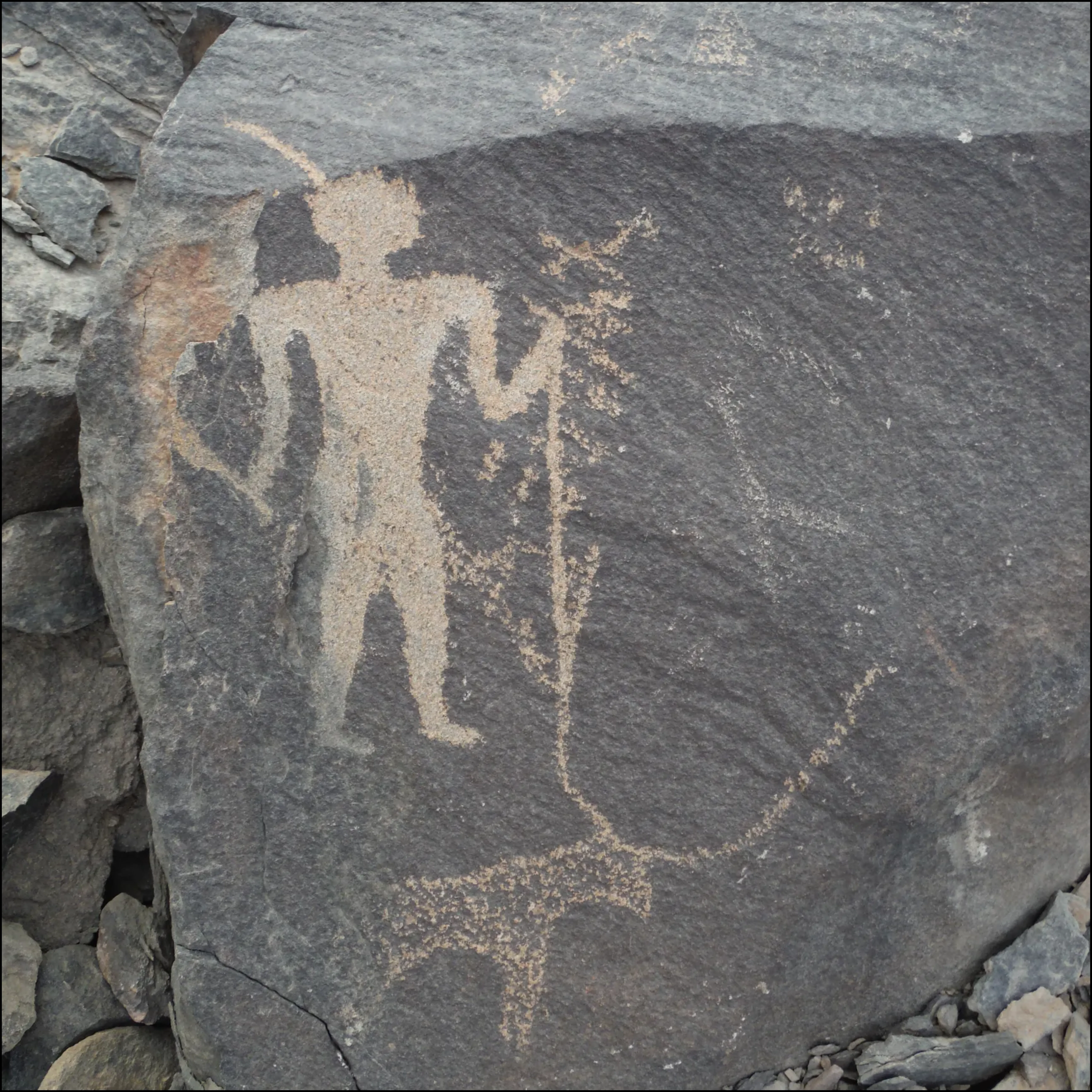 Cow petroglyph from Wadi el-Hudi